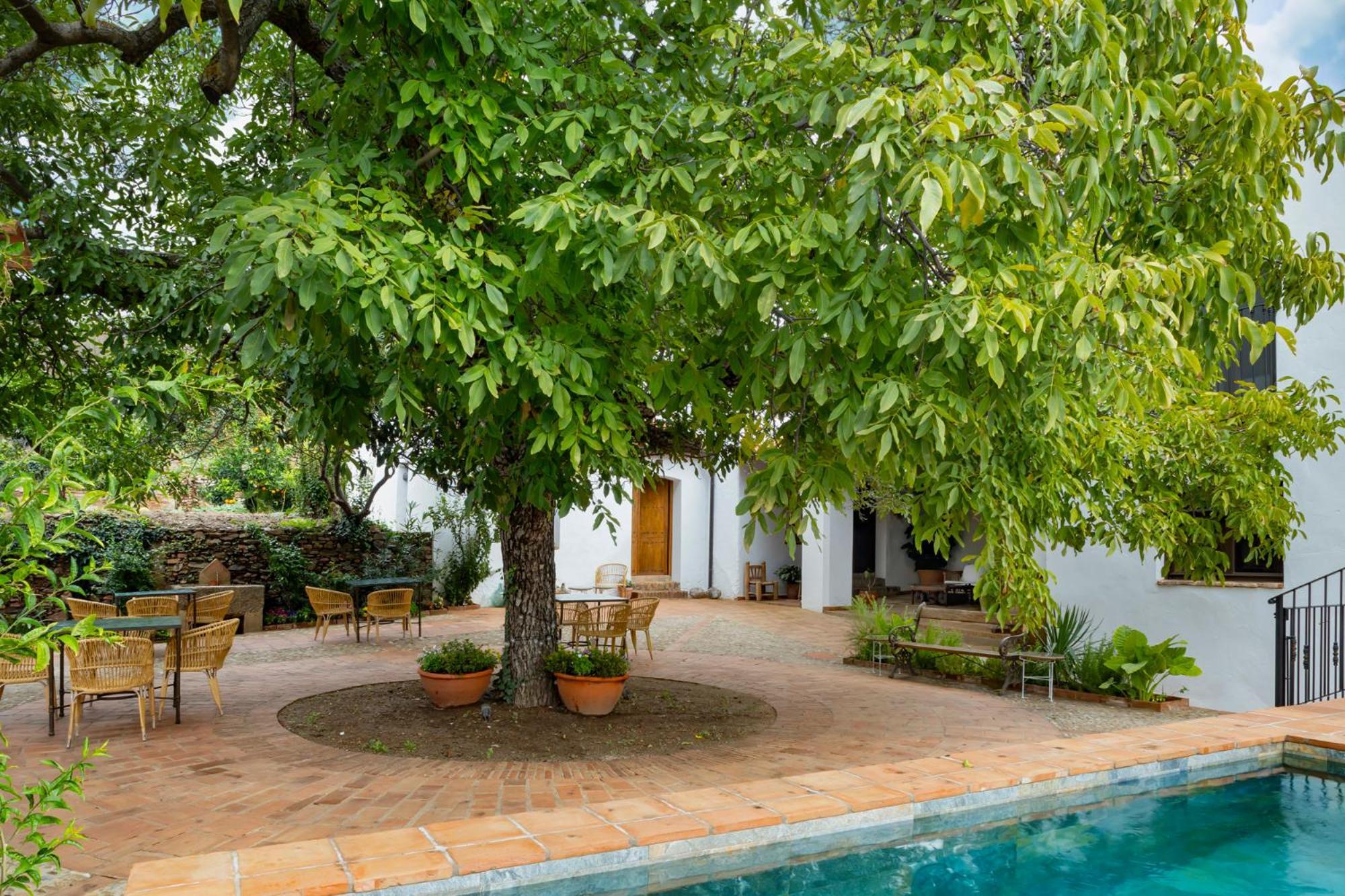 Apartamentos Turisticos El Patio Del Nogal Guadalupe  Exteriör bild