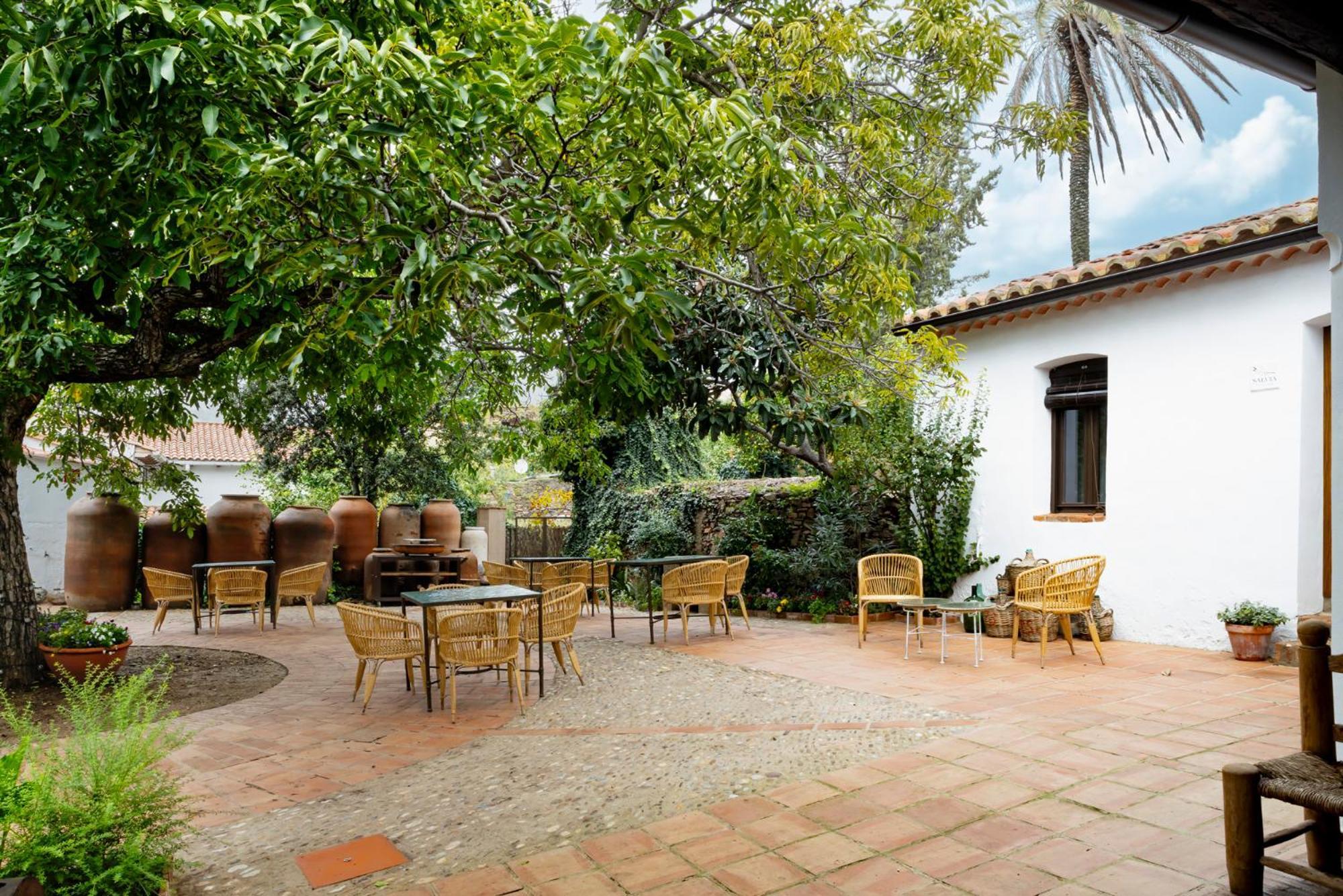 Apartamentos Turisticos El Patio Del Nogal Guadalupe  Exteriör bild